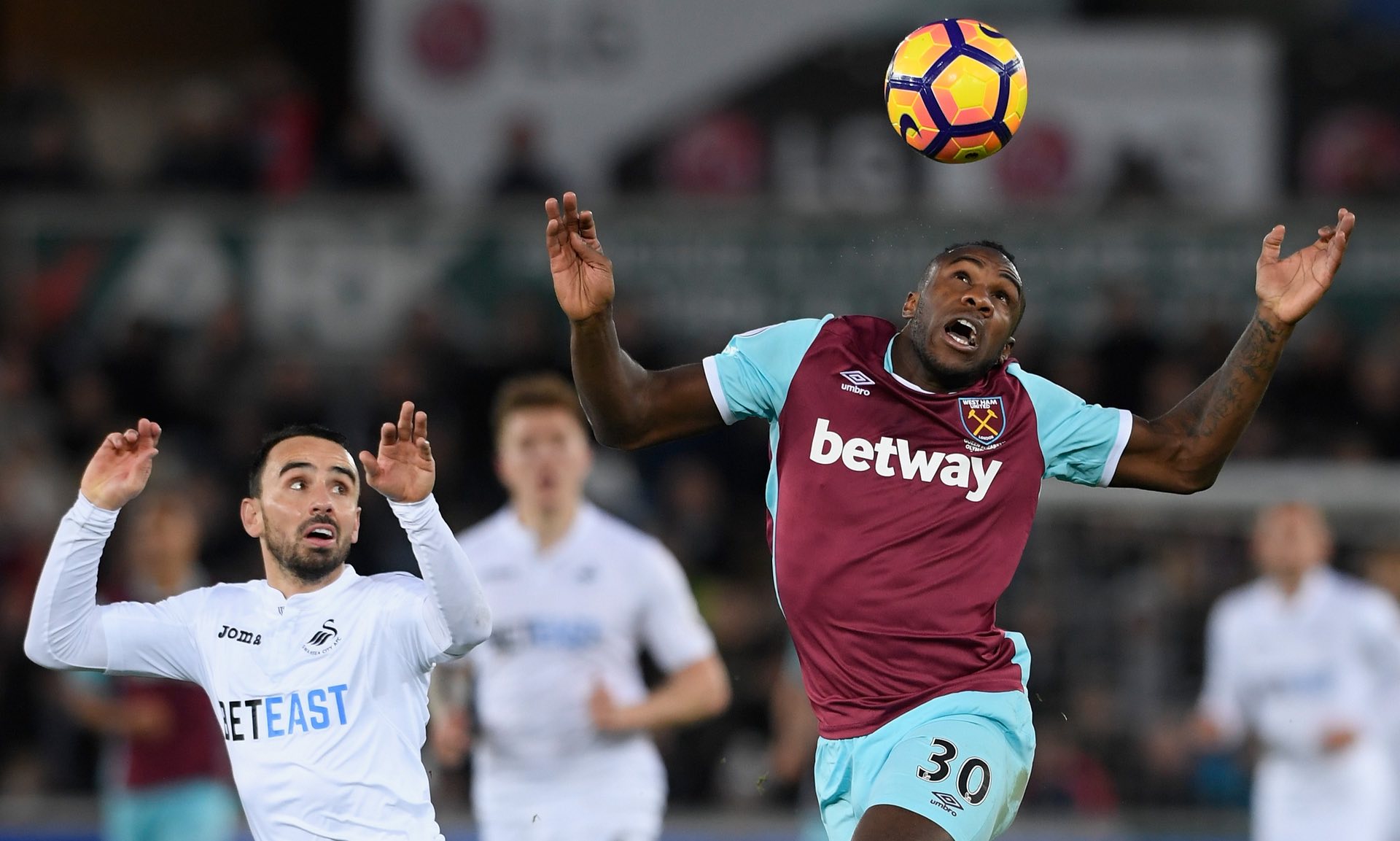 一位备受期 一位备受期